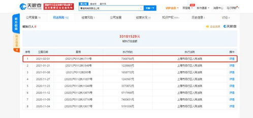 蛋壳公寓关联公司再遭执行，信息技术背后的租赁风波
