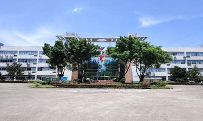 信息技术部门 驱动数字化转型的核心引擎