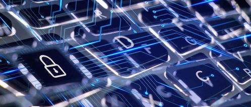 赴日留学信息技术领域择专业三原则 结合前沿、契合自身、着眼未来