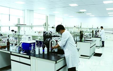 省科学技术奖大丰收鼓舞佛山创新士气，信息技术领域尤为亮眼